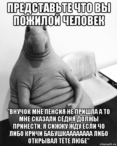 представьте что вы пожилой человек "внучок мне пенсия не пришла а то мне сказали сёдня должы принести, я сижжу жду если чо либо кричи бабушкаааааааа либо открывал тёте любе", Мем  Ждун