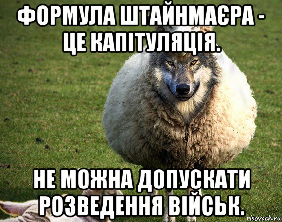 формула штайнмаєра - це капітуляція. не можна допускати розведення військ., Мем Злая Овца