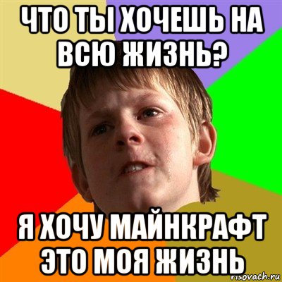 что ты хочешь на всю жизнь? я хочу майнкрафт это моя жизнь, Мем Злой школьник