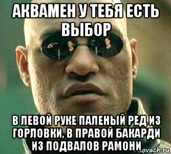 аквамен у тебя есть выбор в левой руке паленый ред из горловки, в правой бакарди из подвалов рамони, Мем  а что если я скажу тебе