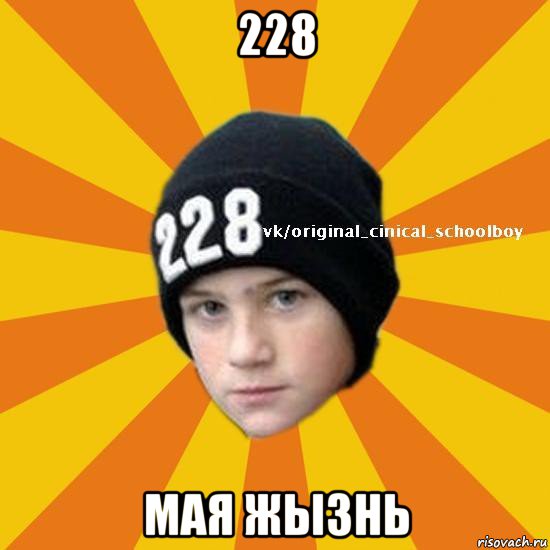 228 мая жызнь, Мем  Циничный школьник