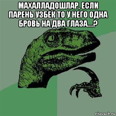 махалладошлар, если парень узбек то у него одна бровь на два глаза....? , Мем Филосораптор