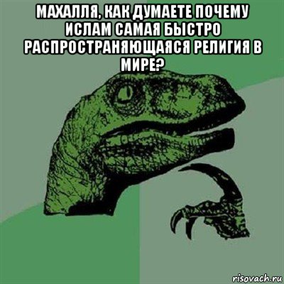 махалля, как думаете почему ислам самая быстро распространяющаяся религия в мире? , Мем Филосораптор