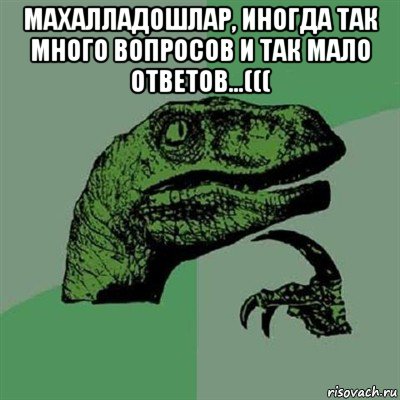 махалладошлар, иногда так много вопросов и так мало ответов...((( , Мем Филосораптор