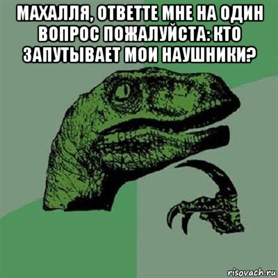 махалля, ответте мне на один вопрос пожалуйста: кто запутывает мои наушники? , Мем Филосораптор