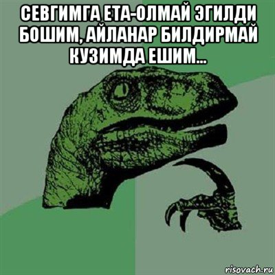 севгимга ета-олмай эгилди бошим, айланар билдирмай кузимда ешим... , Мем Филосораптор