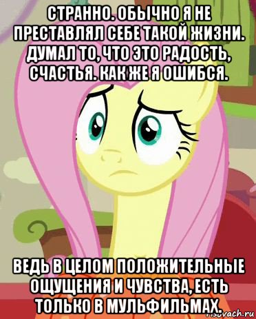 странно. обычно я не преставлял себе такой жизни. думал то, что это радость, счастья. как же я ошибся. ведь в целом положительные ощущения и чувства, есть только в мульфильмах., Мем Флаттершай грустная