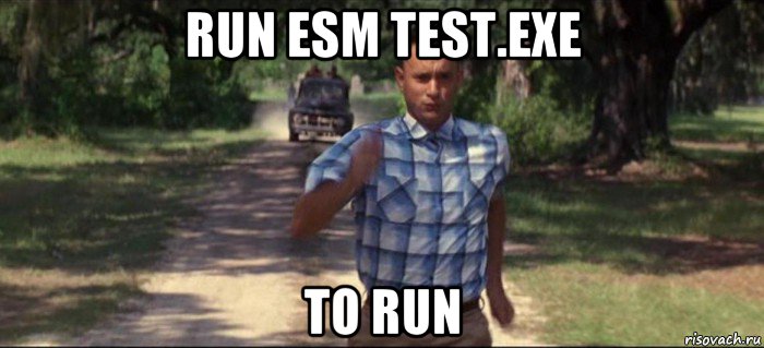 run esm test.exe to run, Мем   Беги форрест гамп