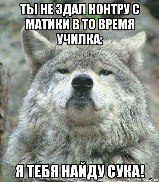 ты не здал контру с матики в то время училка: я тебя найду сука!, Мем    Гордый волк