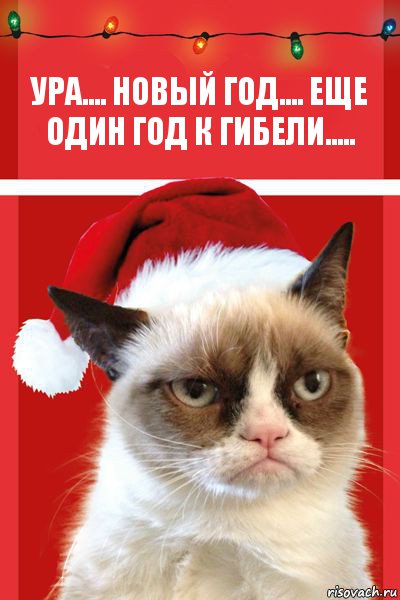 Ура.... Новый год.... еще один год к гибели....., Комикс  Grumpy cat new year