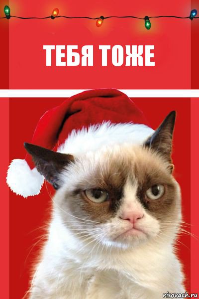 тебя тоже, Комикс  Grumpy cat new year