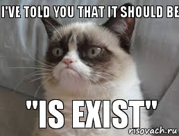 I've told you that it should be    "is exist", Комикс grumpy cat