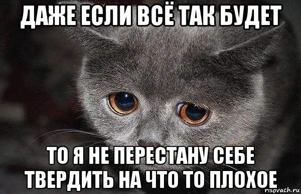 даже если всё так будет то я не перестану себе твердить на что то плохое, Мем  Грустный кот