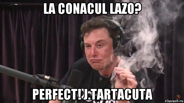 la conacul lazo? perfect! j.tartacuta, Мем Илон Маск