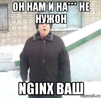 он нам и на*** не нужон nginx ваш, Мем Интернет не нужон