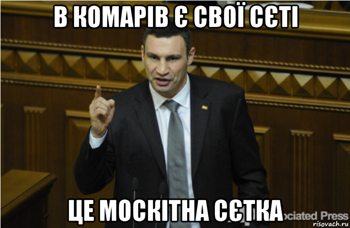 в комарів є свої сєті це москітна сєтка, Мем кличко философ