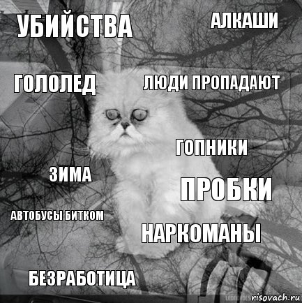 убийства пробки люди пропадают Безработица зима алкаши наркоманы гололед автобусы битком гопники, Комикс  кот безысходность