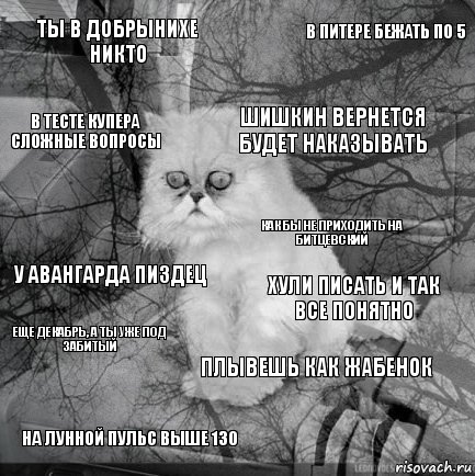 Ты в добрынихе никто Хули писать и так все понятно Шишкин вернется будет наказывать На лунной пульс выше 130 у авангарда пиздец В питере бежать по 5 плывешь как жабенок В тесте купера сложные вопросы Еще декабрь, а ты уже под забитый Как бы не приходить на битцевский, Комикс  кот безысходность