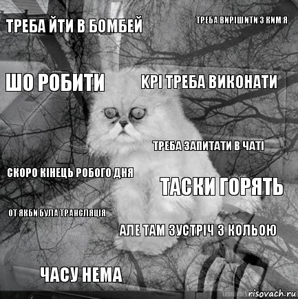 треба йти в бомбей таски горять KPI треба виконати часу нема скоро кінець робого дня треба вирішити з ким я але там зустріч з Кольою шо робити от якби була трансляція треба запитати в чаті, Комикс  кот безысходность