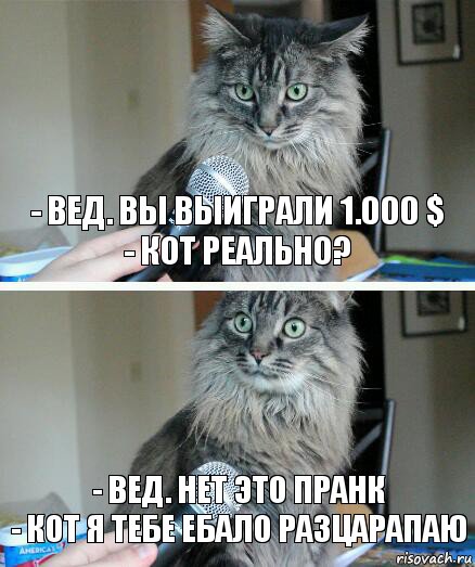 - Вед. ВЫ ВЫИГРАЛИ 1.000 $
- Кот РЕАЛЬНО? - Вед. Нет это пранк
- Кот Я ТЕБЕ ЕБАЛО РАЗЦАРАПАЮ, Комикс  кот с микрофоном