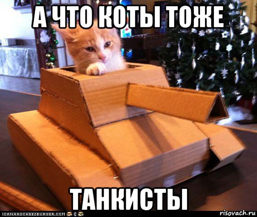 а что коты тоже танкисты