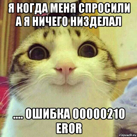 я когда меня спросили а я ничего низделал .... ошибка 00000210 eror, Мем       Котяка-улыбака