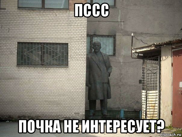 пссс почка не интересует?, Мем  Ленин за углом (пс, парень)