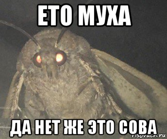 ето муха да нет же это сова, Мем Матылёк