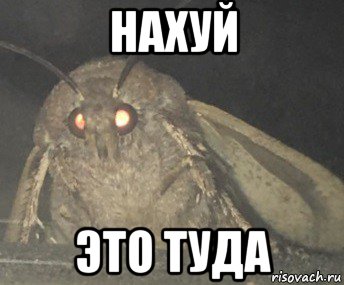 нахуй это туда, Мем Матылёк