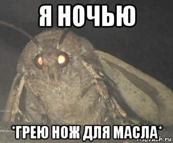 я ночью *грею нож для масла*, Мем Матылёк