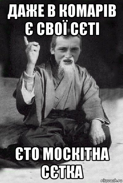 даже в комарів є свої сєті єто москітна сєтка, Мем Мудрий паца