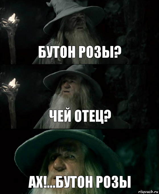 Бутон Розы? Чей отец? Ах!...Бутон Розы, Комикс Гендальф заблудился