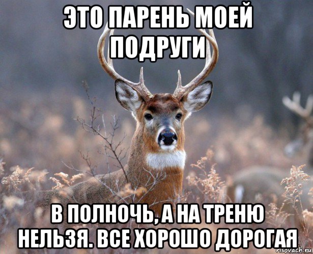 это парень моей подруги в полночь, а на треню нельзя. все хорошо дорогая, Мем   Наивный олень