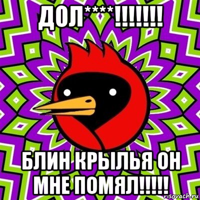 дол****!!!!!!! блин крылья он мне помял!!!!!, Мем Омская птица