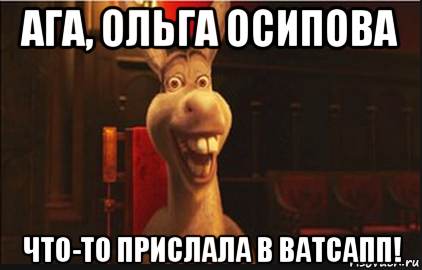 ага, ольга осипова что-то прислала в ватсапп!, Мем Осел из Шрека