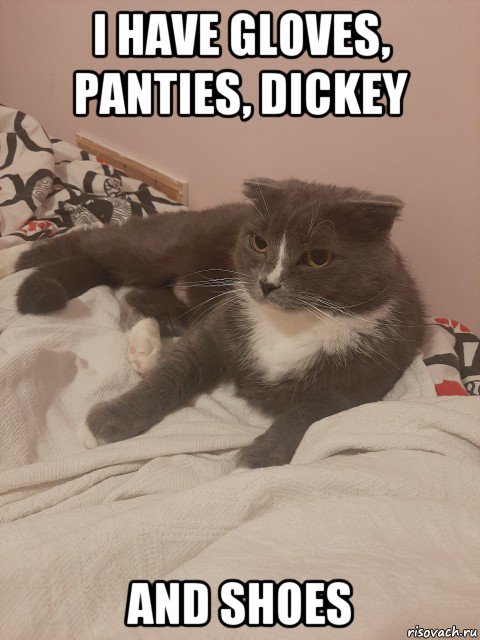 i have gloves, panties, dickey and shoes, Мем Пашуха