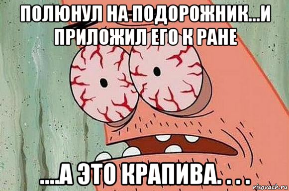 полюнул на подорожник...и приложил его к ране ....а это крапива. . . .