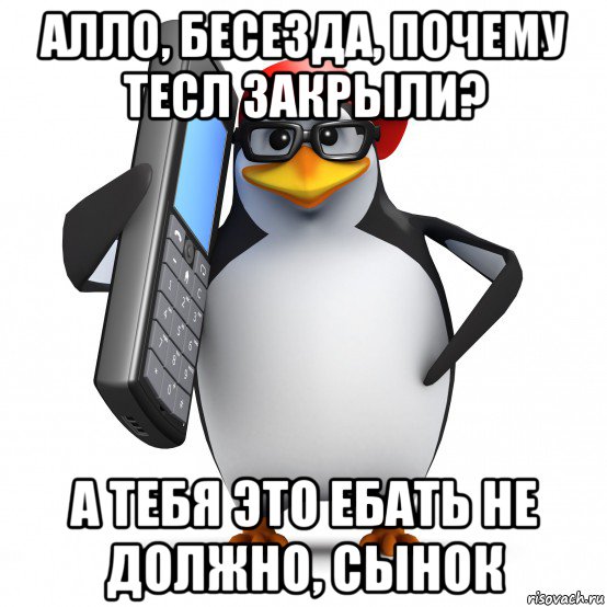 алло, бесезда, почему тесл закрыли? а тебя это ебать не должно, сынок, Мем   Пингвин звонит