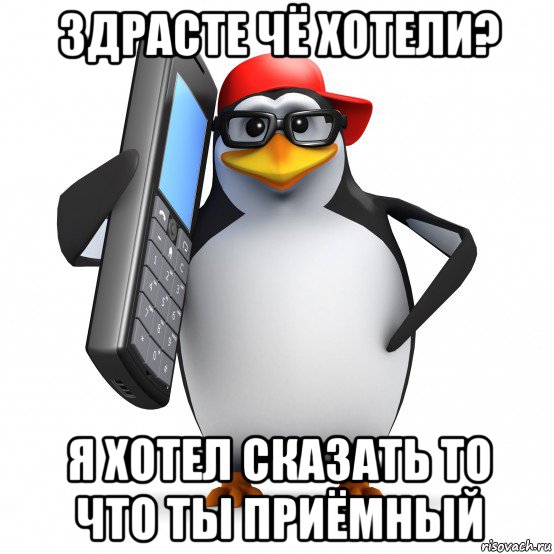 здрасте чё хотели? я хотел сказать то что ты приёмный, Мем   Пингвин звонит