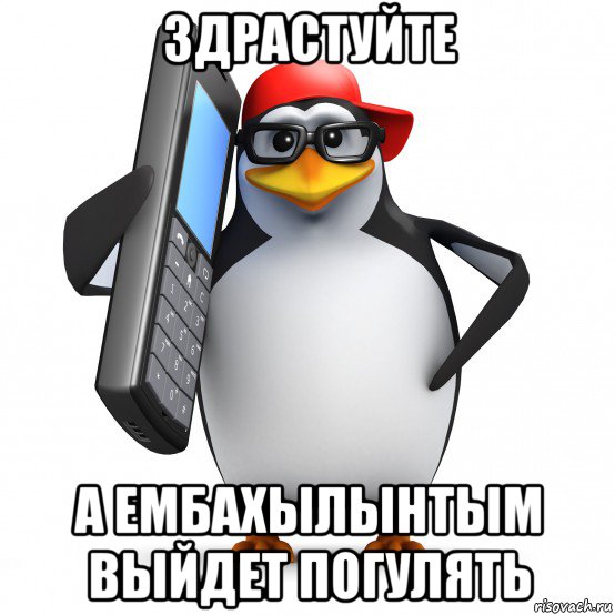 здрастуйте а ембахылынтым выйдет погулять, Мем   Пингвин звонит