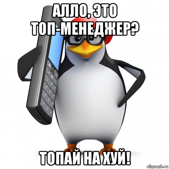 алло, это топ-менеджер? топай на хуй!, Мем   Пингвин звонит