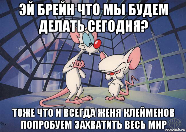 эй брейн что мы будем делать сегодня? тоже что и всегда женя клейменов попробуем захватить весь мир, Мем ПИНКИ И БРЕЙН