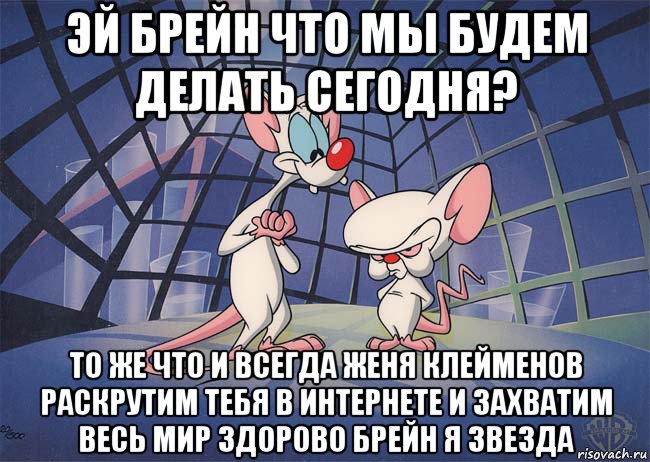 эй брейн что мы будем делать сегодня? то же что и всегда женя клейменов раскрутим тебя в интернете и захватим весь мир здорово брейн я звезда, Мем ПИНКИ И БРЕЙН