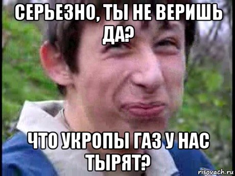 серьезно, ты не веришь да? что укропы газ у нас тырят?