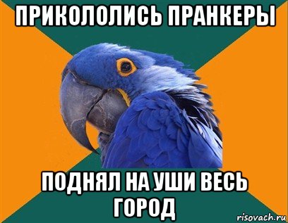 прикололись пранкеры поднял на уши весь город, Мем Попугай параноик