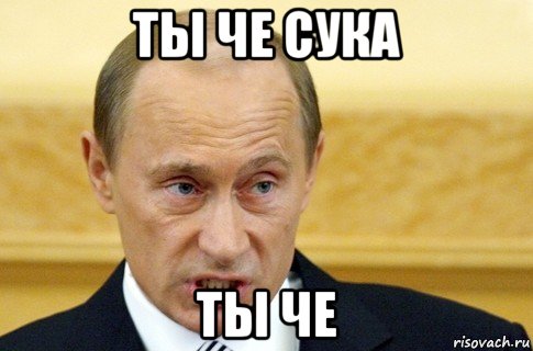 ты че сука ты че, Мем путин