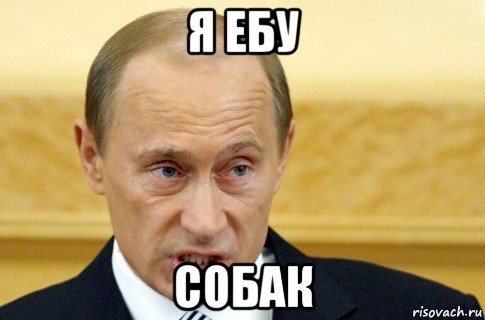 я ебу собак, Мем путин