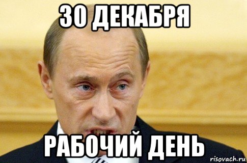 30 декабря рабочий день, Мем путин