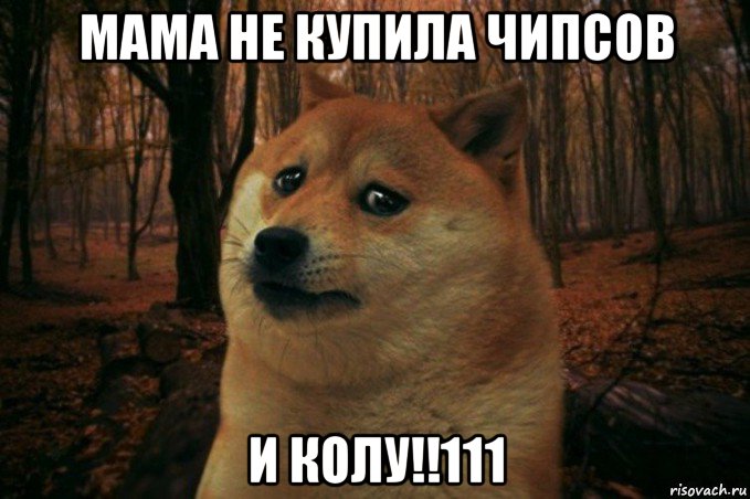 мама не купила чипсов и колу!!111, Мем SAD DOGE