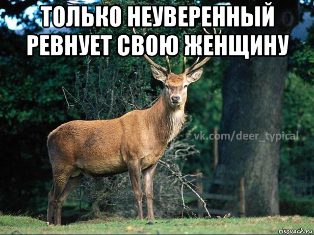 только неуверенный ревнует свою женщину , Мем Паблик Типичный олень